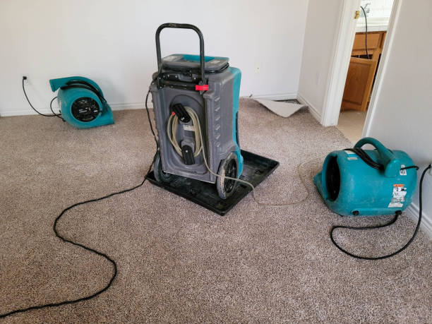 Best Water damage contractors near me  in Wooster, OH