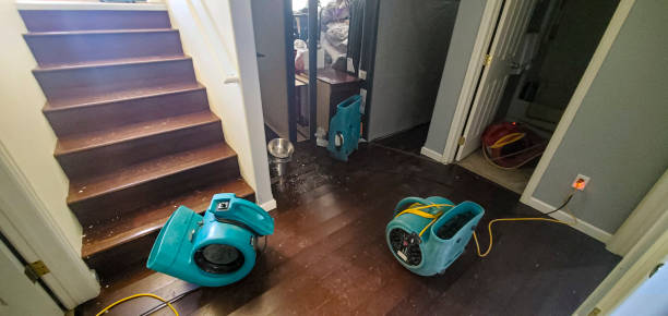 Best Mold removal after water damage  in Wooster, OH