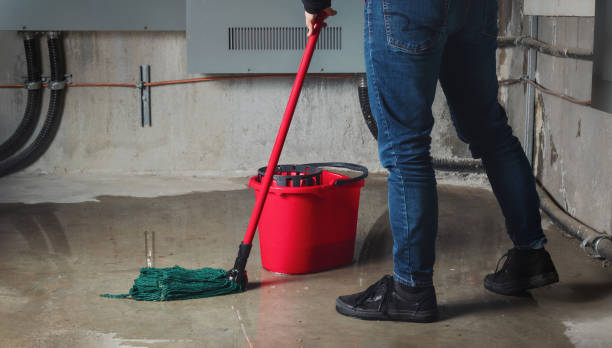Best Flood restoration services  in Wooster, OH