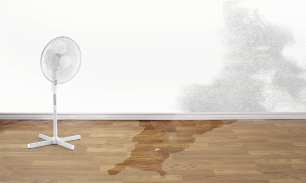 Best Ceiling water damage repair  in Wooster, OH