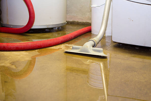 Best Sewage cleanup and water damage restoration  in Wooster, OH